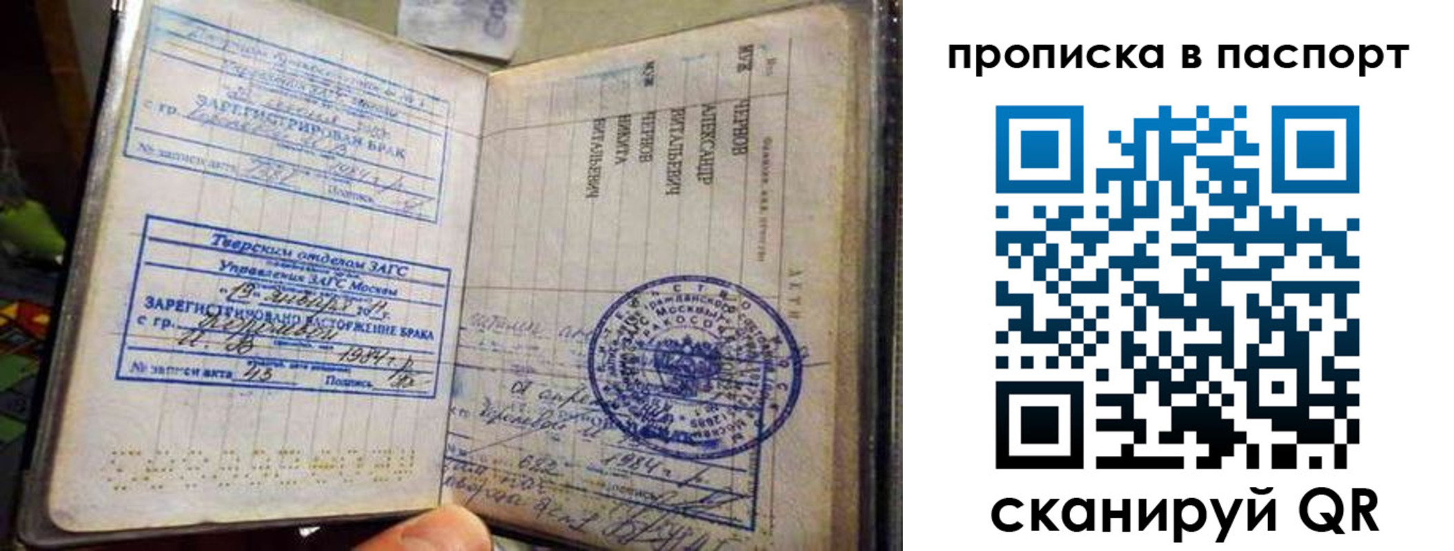 прописка поиск в Мурино